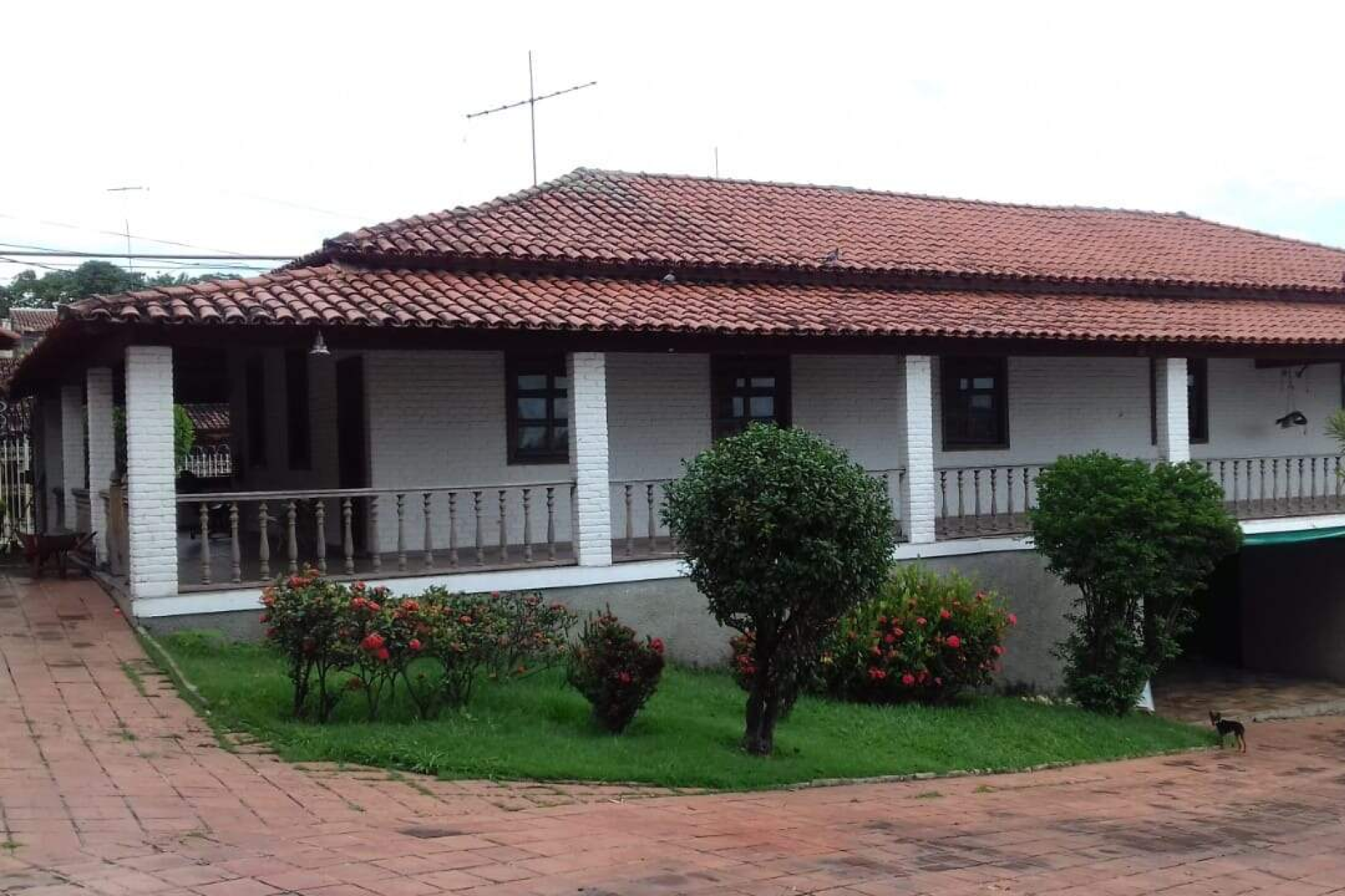Casa de 5 quartos para alugar, Santa Amélia, Belo Horizonte - MG