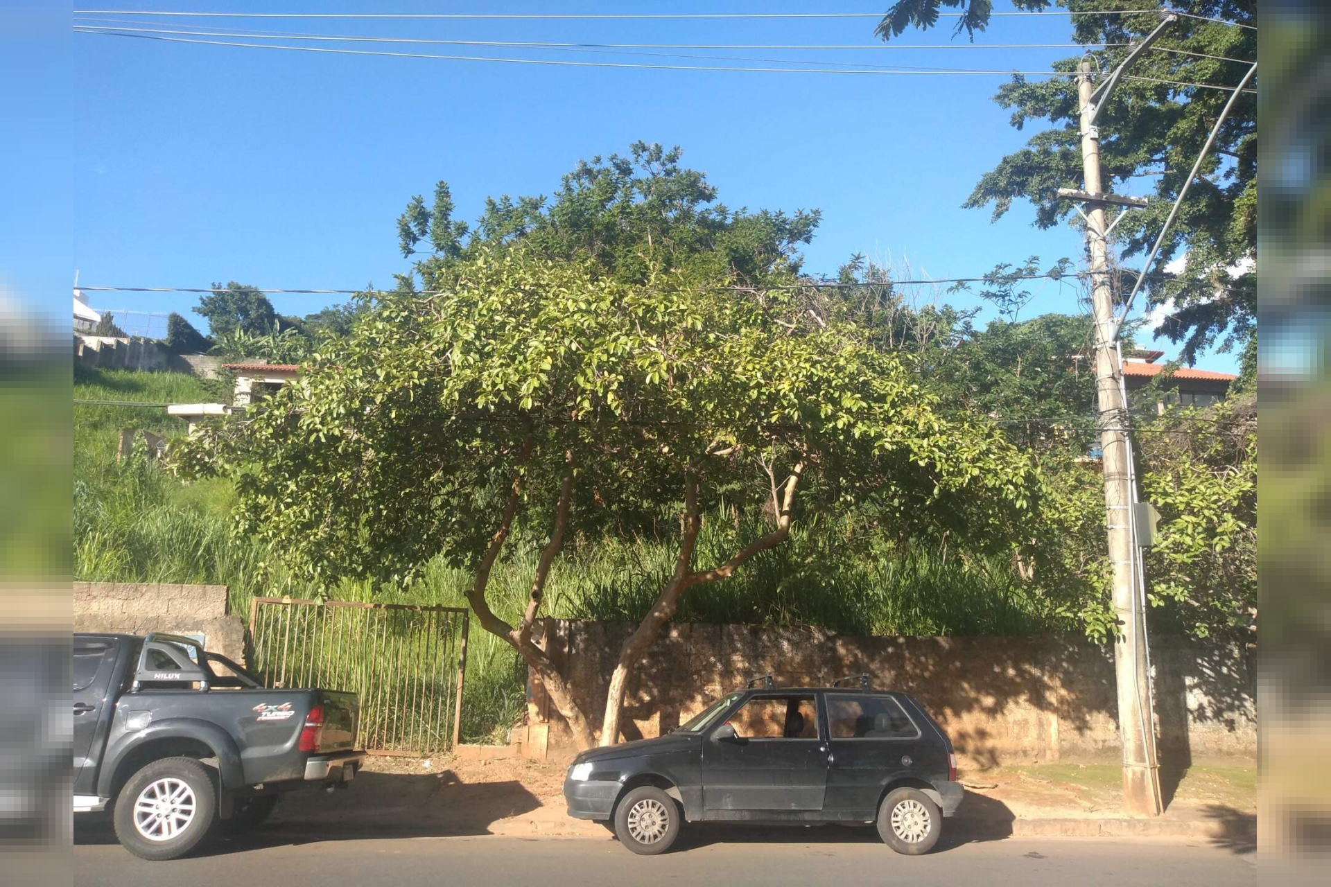 Lote - Terreno à venda, Jardim Atlântico, Belo Horizonte - MG