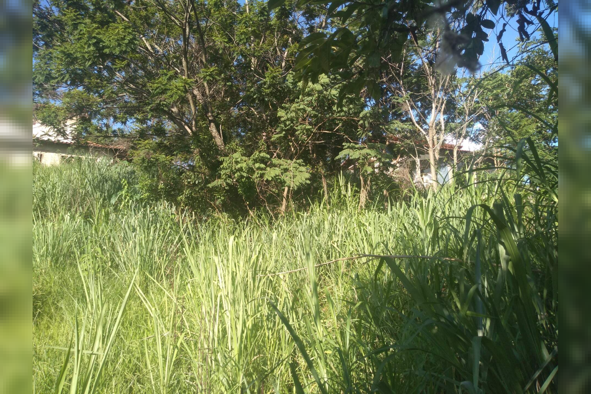 Lote - Terreno à venda, Jardim Atlântico, Belo Horizonte - MG