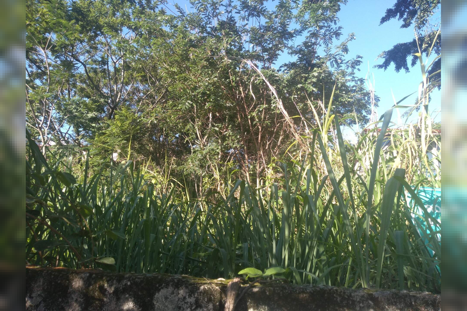 Lote - Terreno à venda, Jardim Atlântico, Belo Horizonte - MG