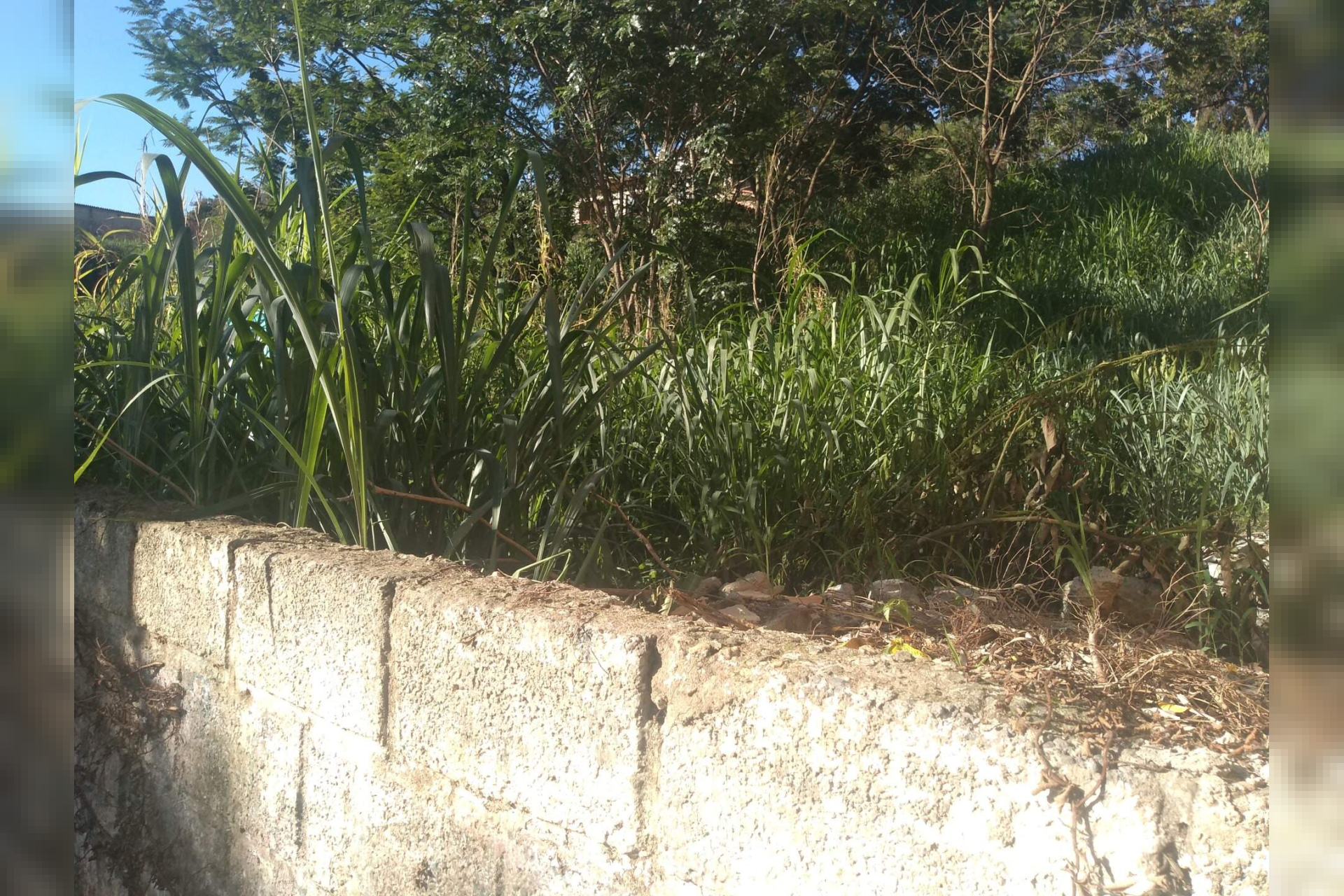 Lote - Terreno à venda, Jardim Atlântico, Belo Horizonte - MG