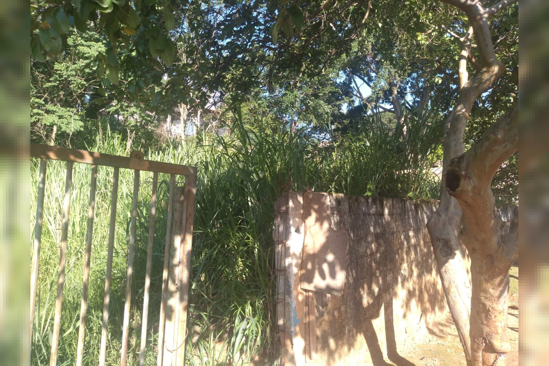Lote - Terreno à venda, Jardim Atlântico, Belo Horizonte - MG