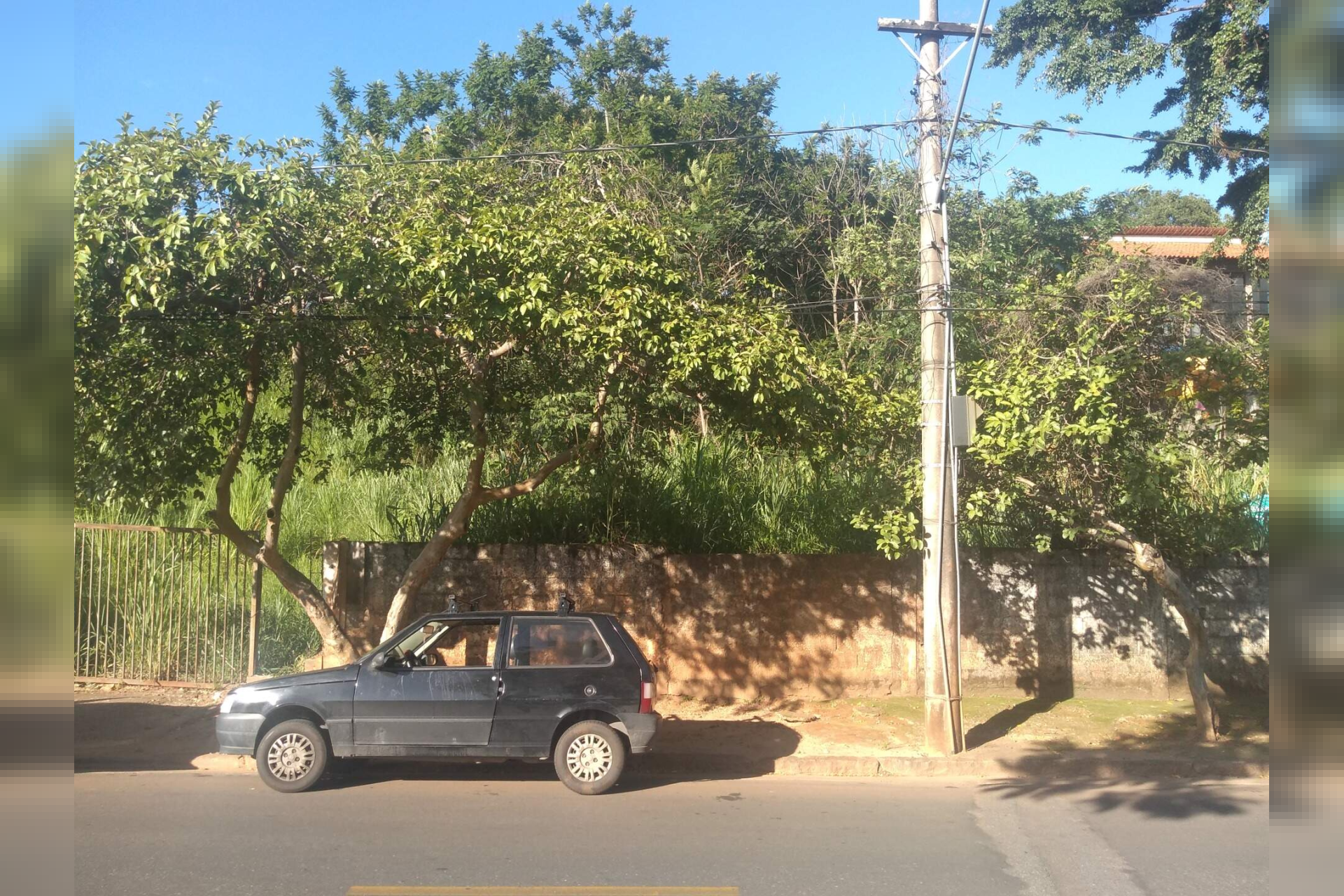 Lote - Terreno à venda, Jardim Atlântico, Belo Horizonte - MG