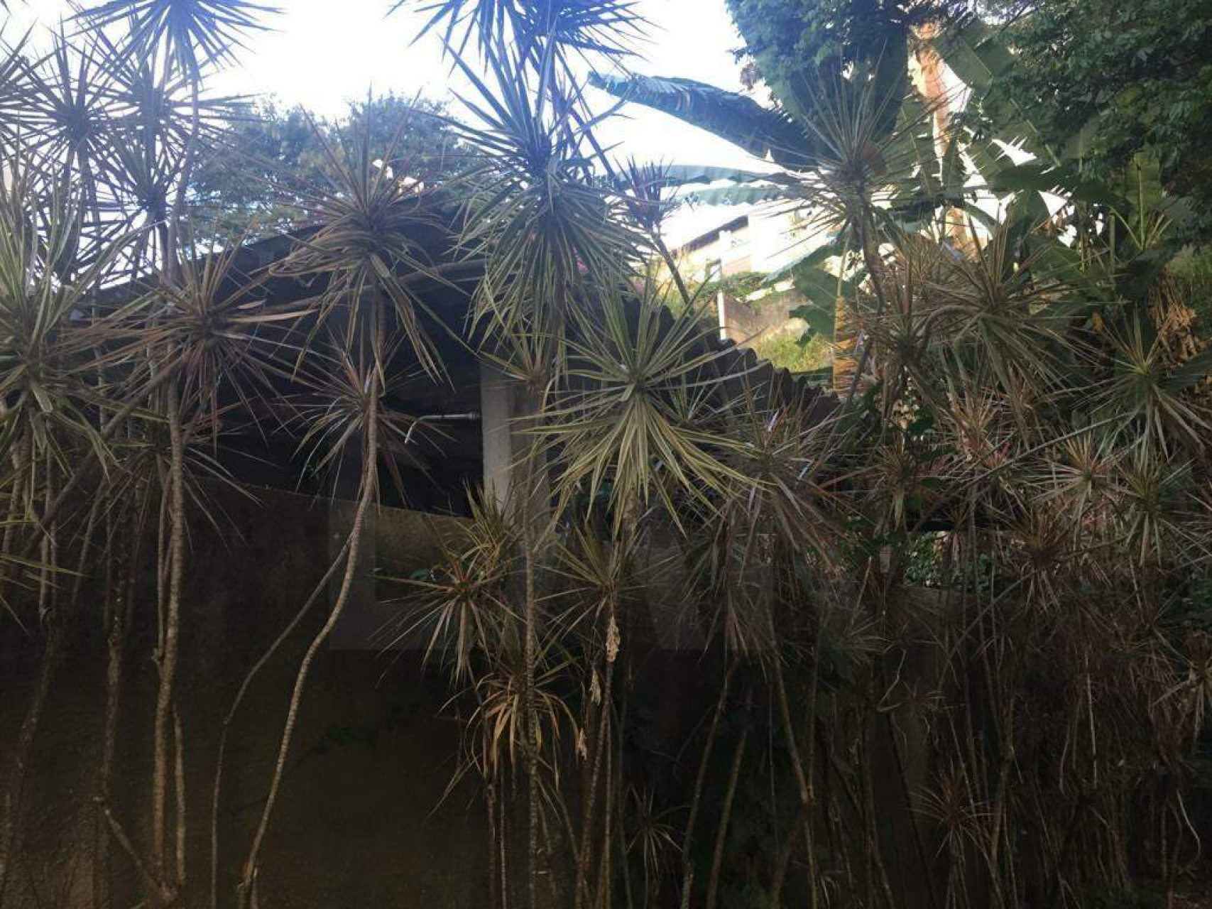 Lote - Terreno à venda, Santa Lúcia, Belo Horizonte - MG