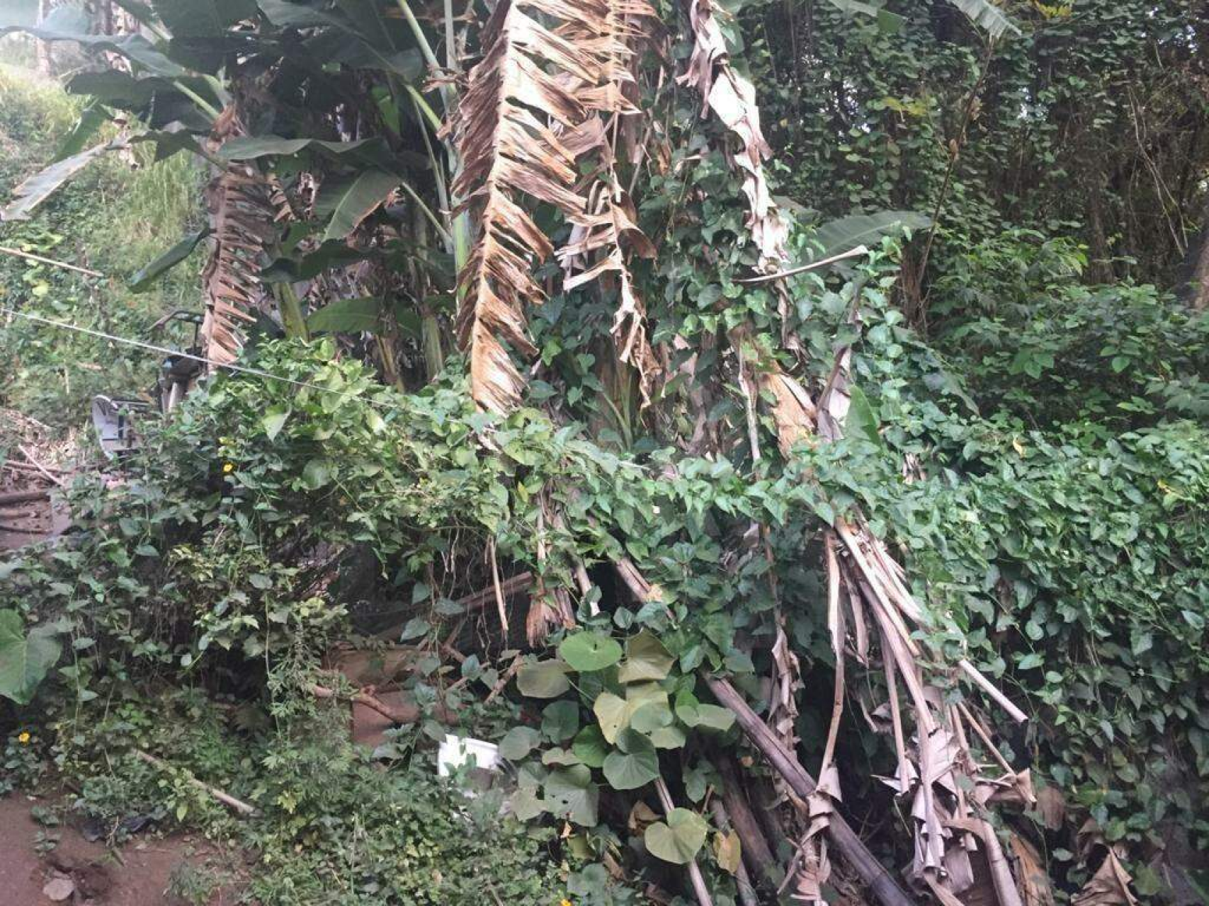 Lote - Terreno à venda, Santa Lúcia, Belo Horizonte - MG