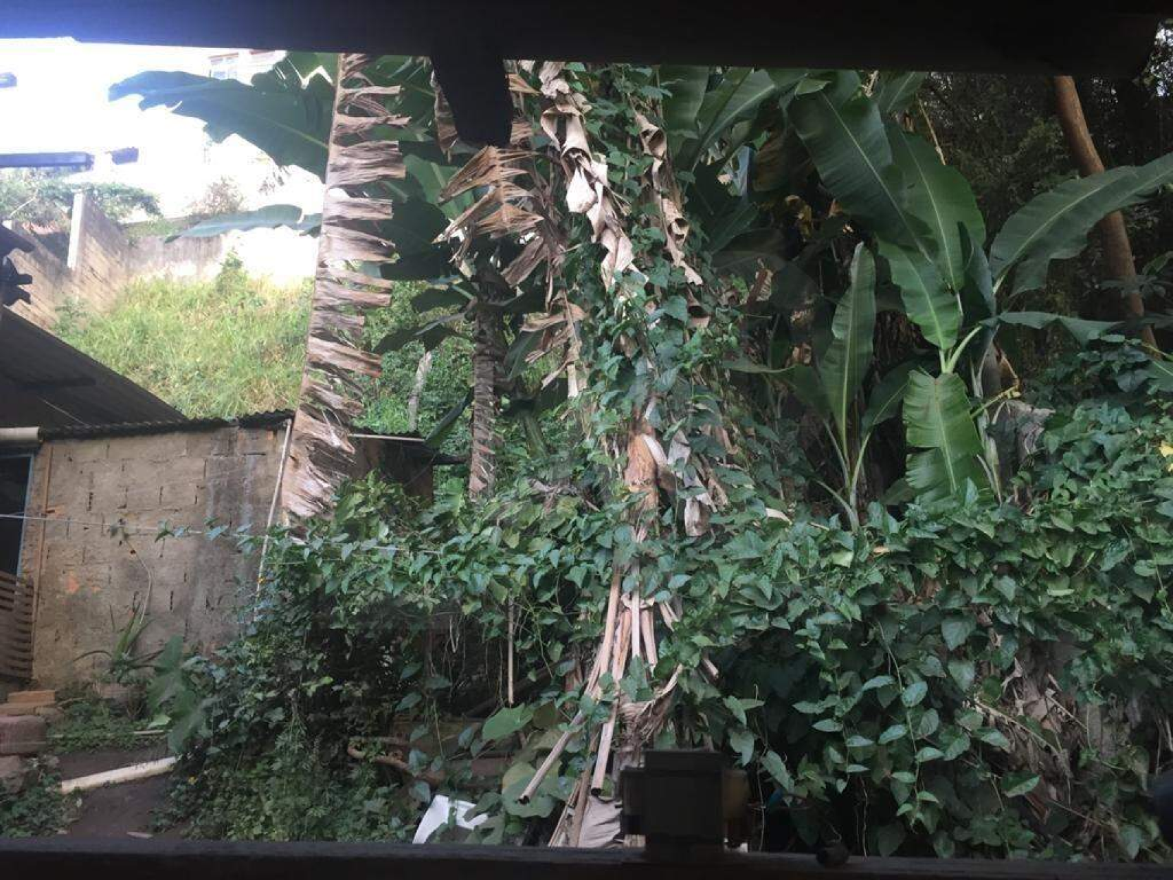 Lote - Terreno à venda, Santa Lúcia, Belo Horizonte - MG