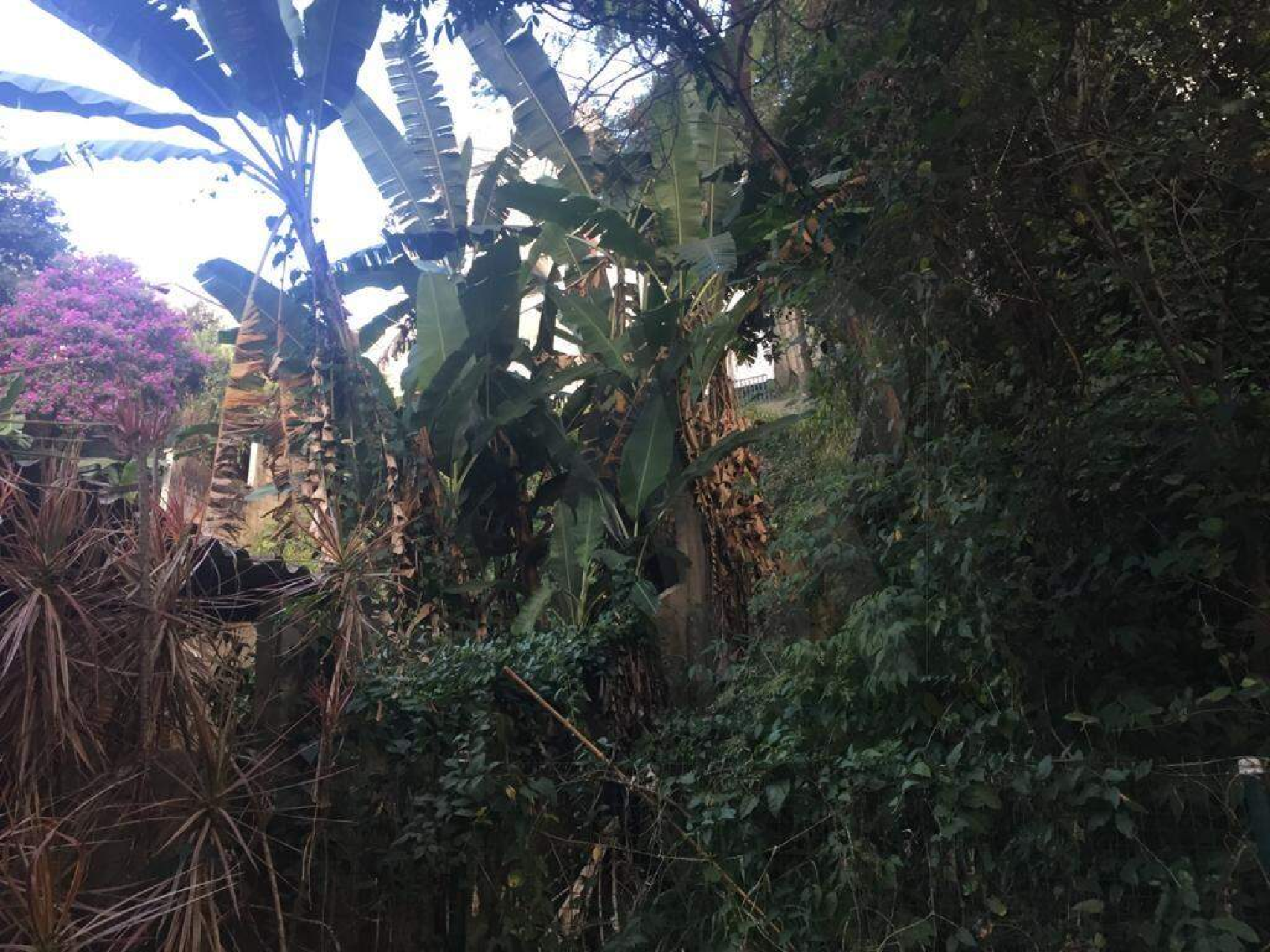 Lote - Terreno à venda, Santa Lúcia, Belo Horizonte - MG