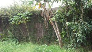 Lote - Terreno à venda, Itapoã, Belo Horizonte - MG