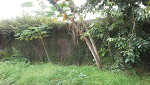 Lote - Terreno à venda, Itapoã, Belo Horizonte - MG