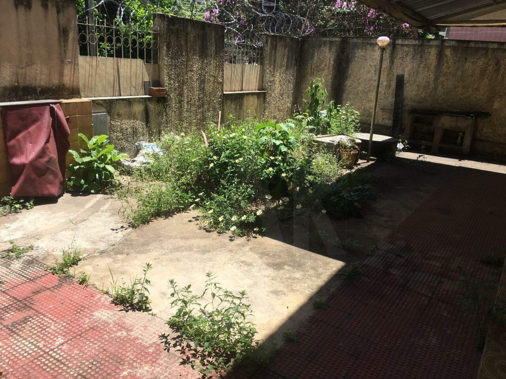 Casa de 3 quartos à venda, Coração de Jesus, Belo Horizonte - MG