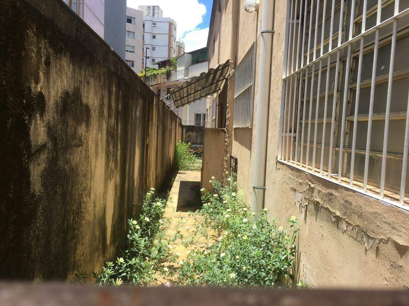 Casa de 3 quartos à venda, Coração de Jesus, Belo Horizonte - MG