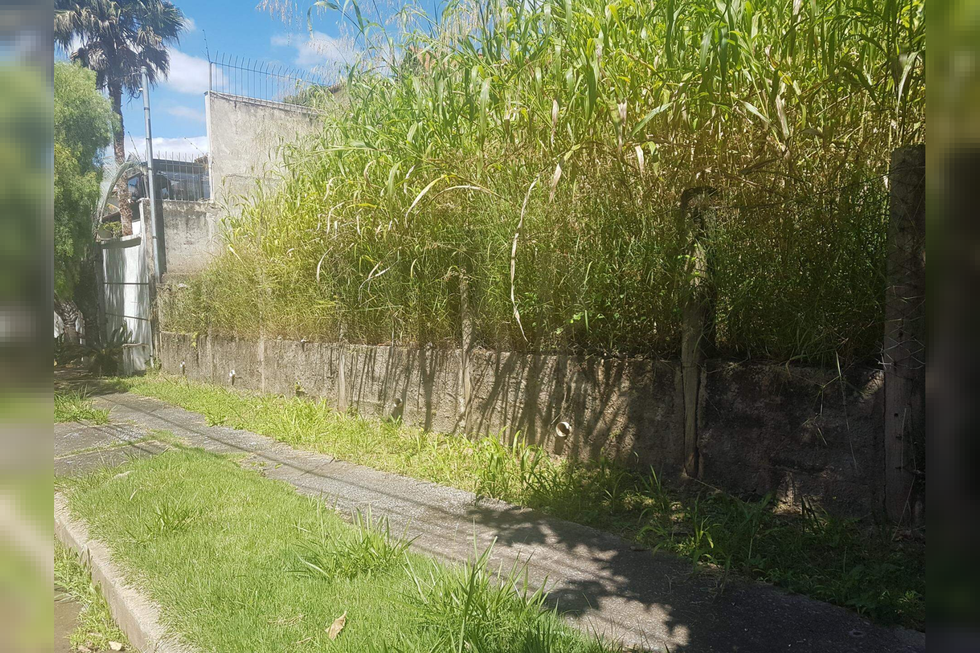 Lote - Terreno à venda, São Bento, Belo Horizonte - MG