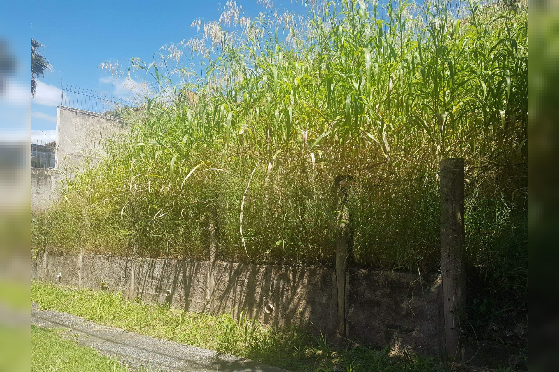 Lote - Terreno à venda, São Bento, Belo Horizonte - MG