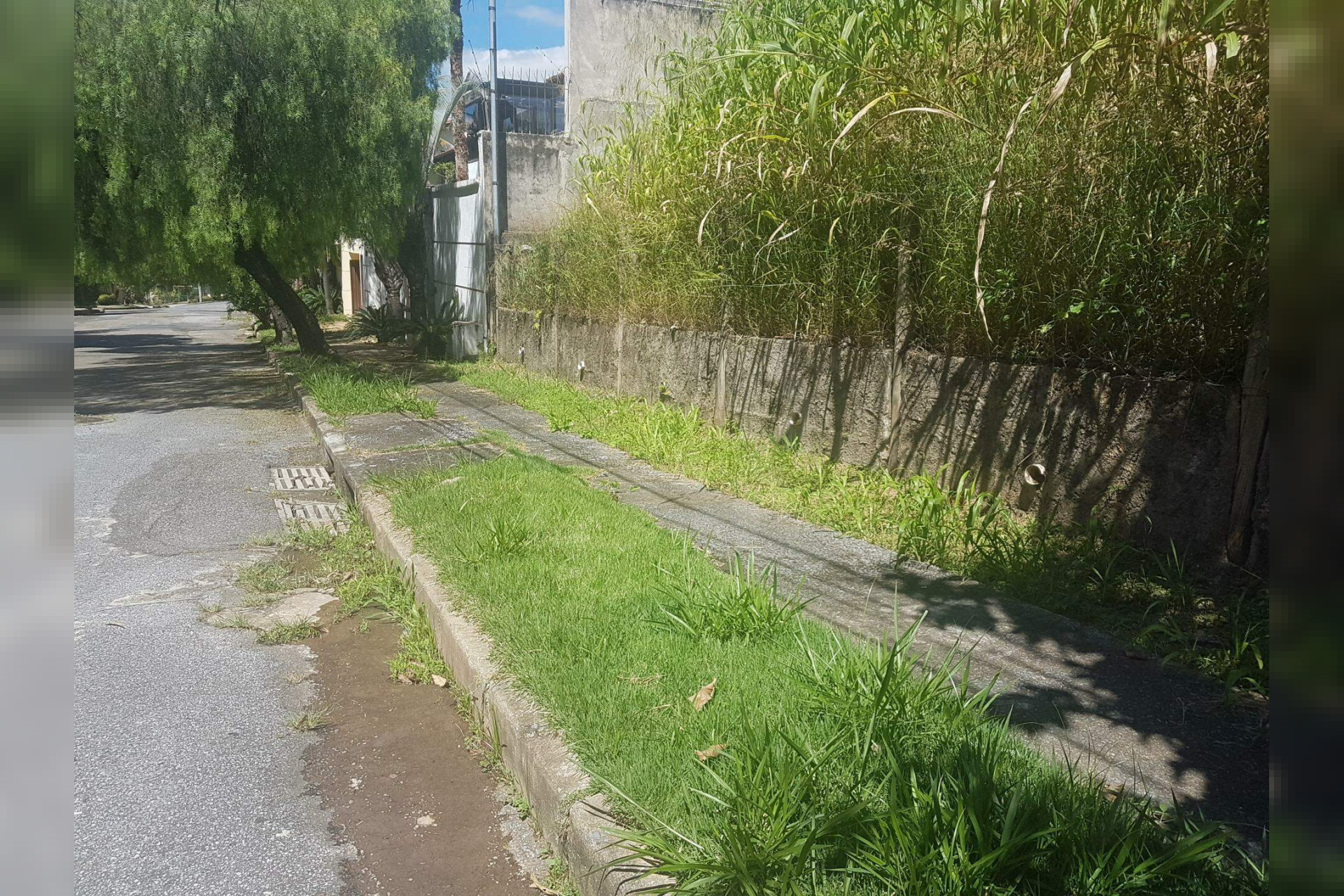 Lote - Terreno à venda, São Bento, Belo Horizonte - MG