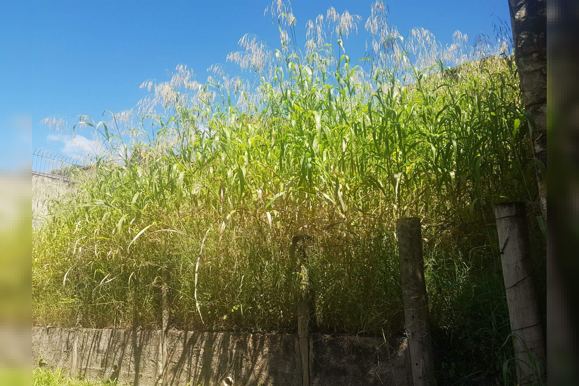 Lote - Terreno à venda, São Bento, Belo Horizonte - MG