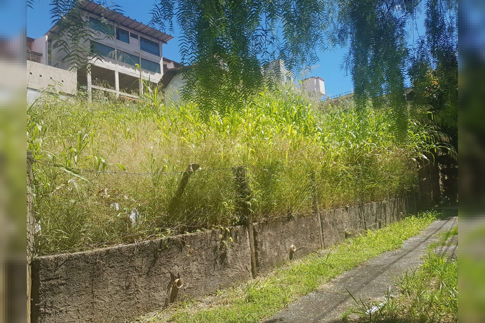 Lote - Terreno à venda, São Bento, Belo Horizonte - MG