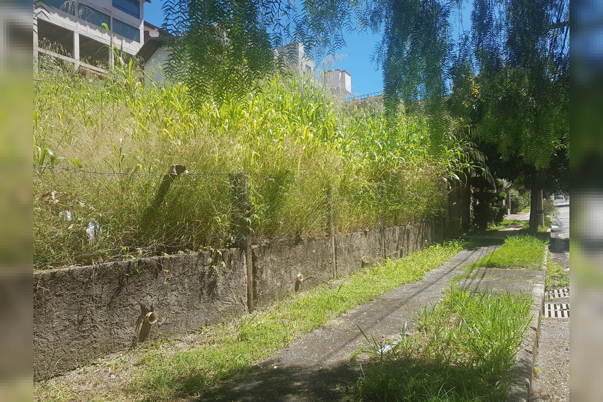 Lote - Terreno à venda, São Bento, Belo Horizonte - MG