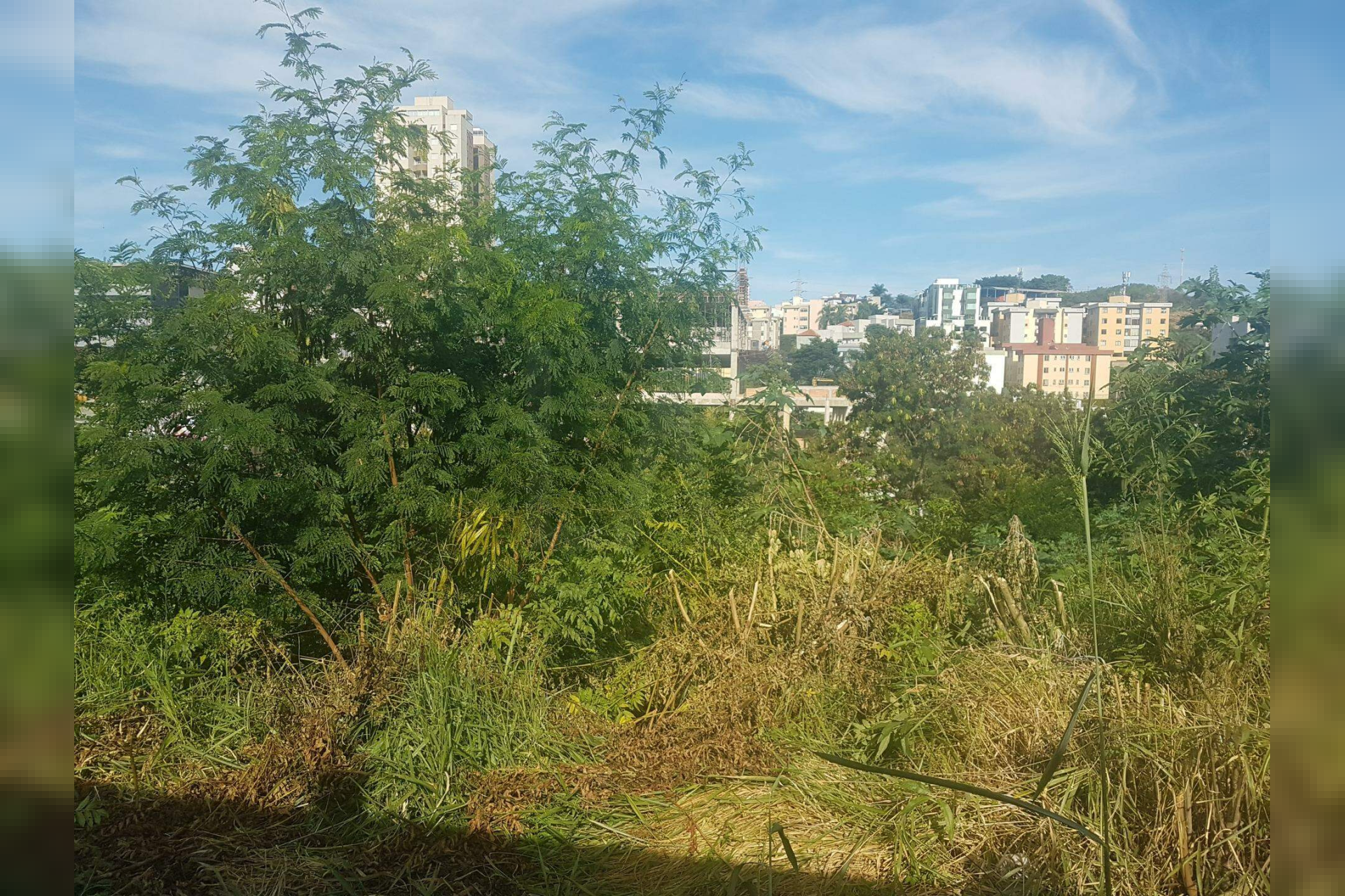 Lote - Terreno à venda, Estoril, Belo Horizonte - MG