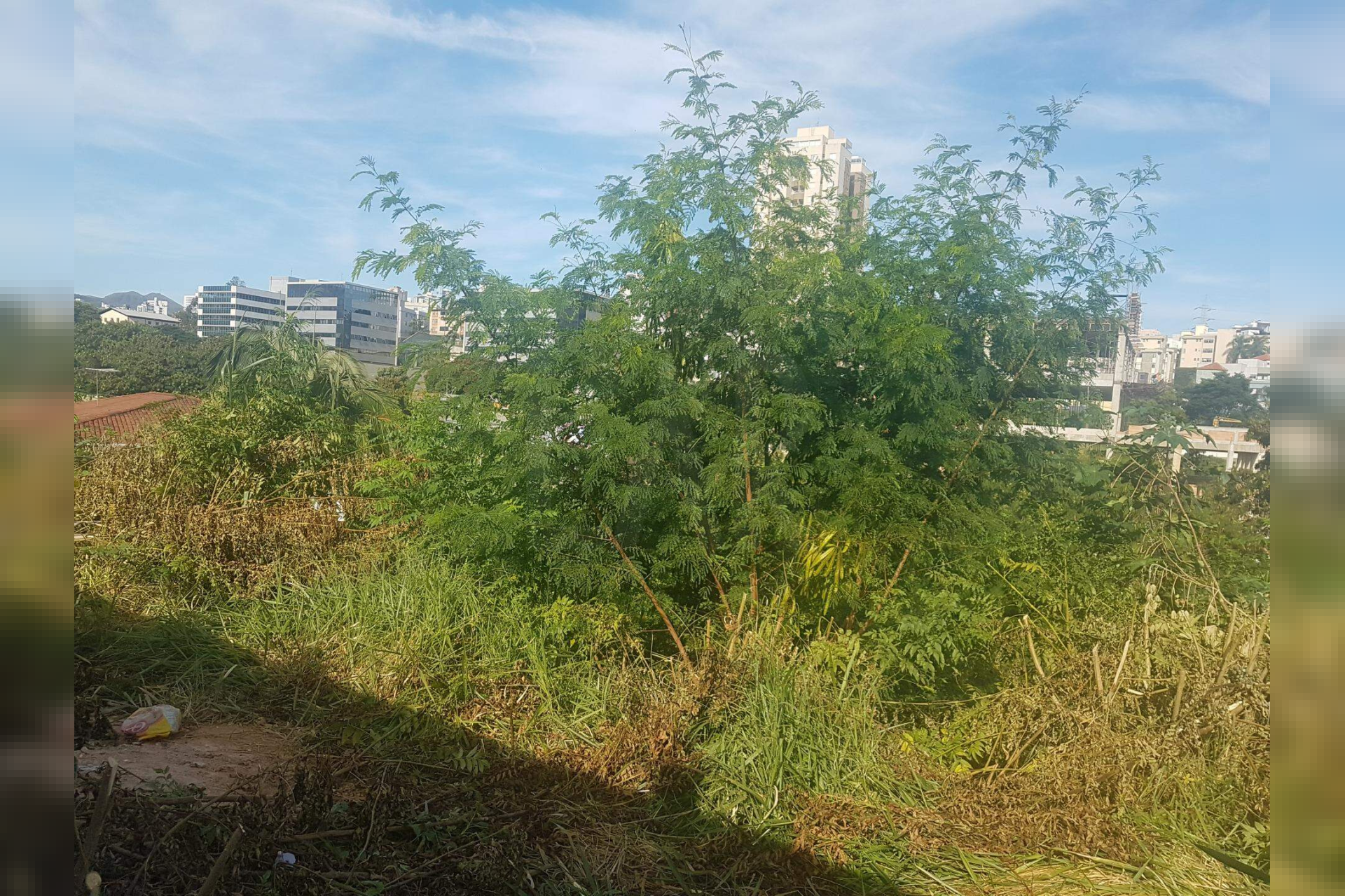 Lote - Terreno à venda, Estoril, Belo Horizonte - MG
