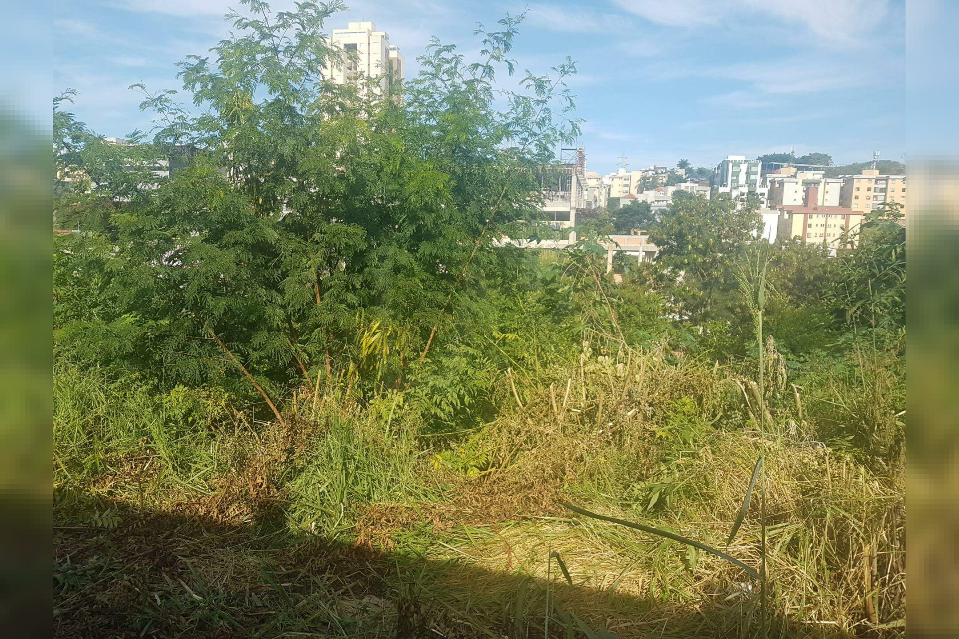 Lote - Terreno à venda, Estoril, Belo Horizonte - MG