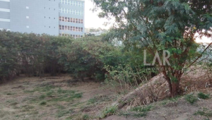 Lote - Terreno à venda, Estoril, Belo Horizonte - MG