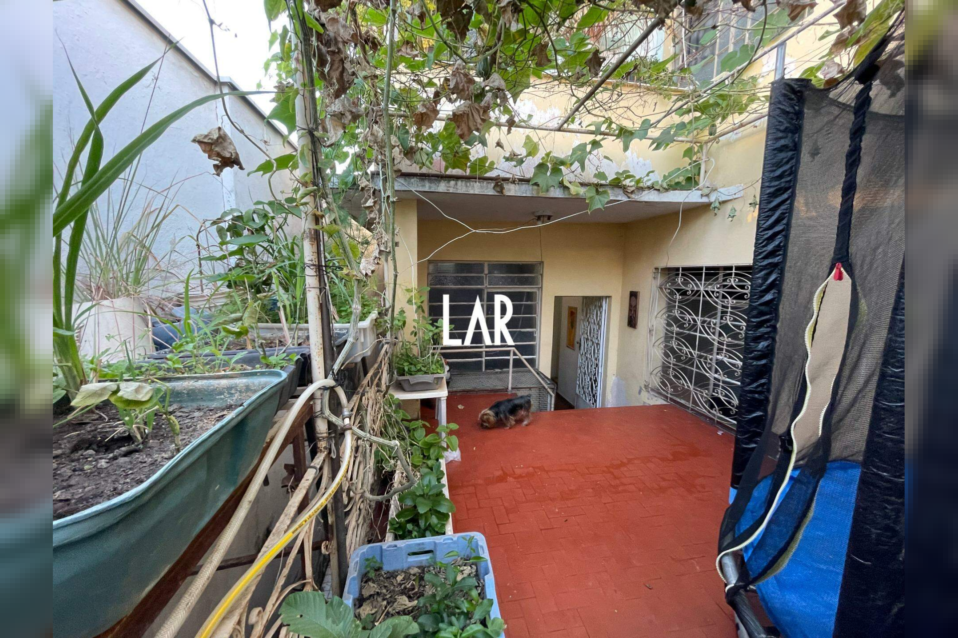 Casa à venda, Santa Efigênia, Belo Horizonte - MG