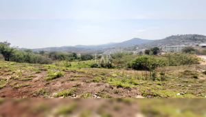 Lote - Terreno à venda, Jardim Vitória, Belo Horizonte - MG