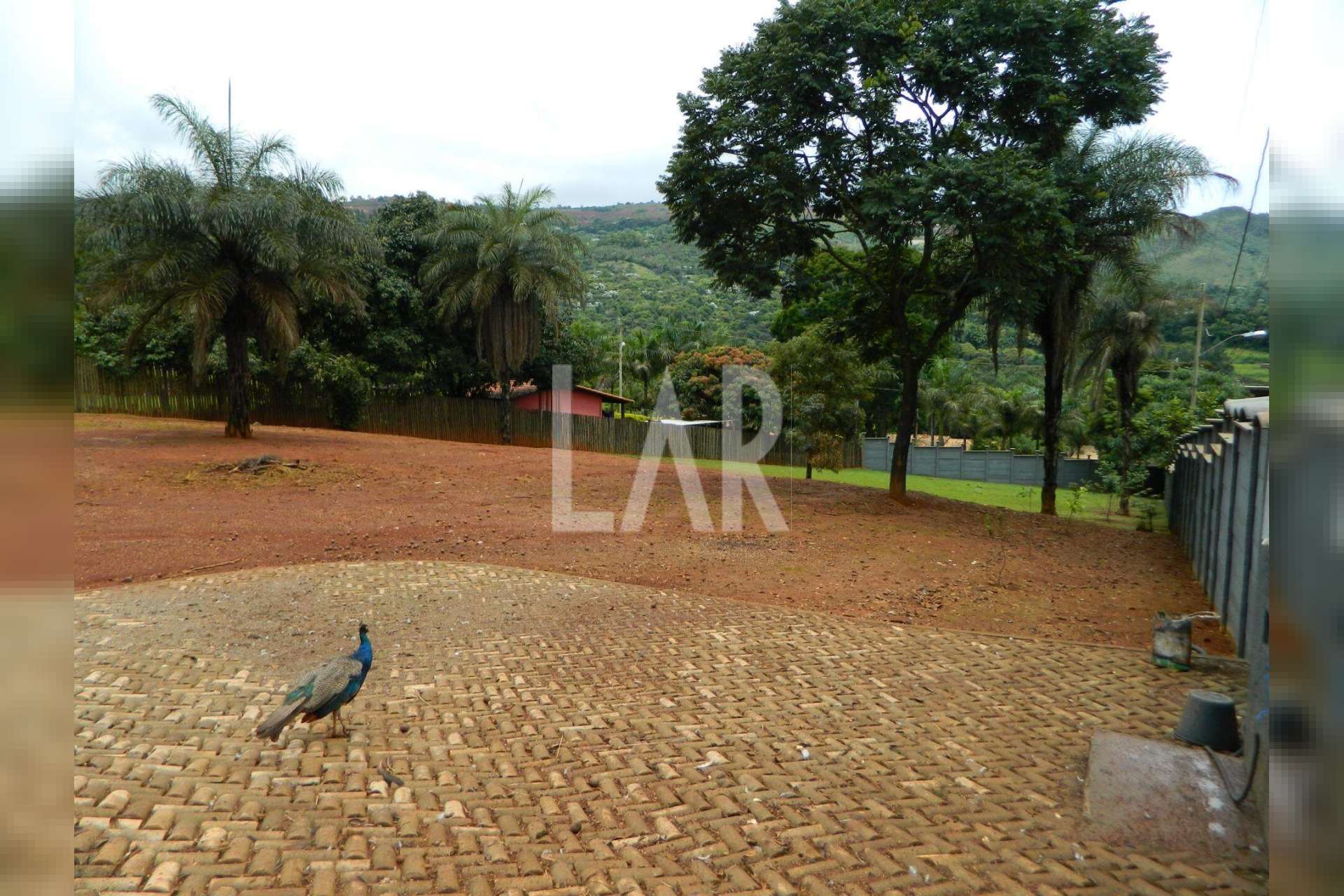 Lote - Terreno para alugar, São Sebastião das Águas Claras, Nova Lima - MG