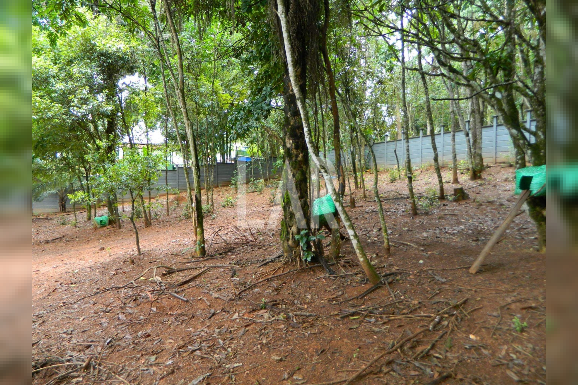 Lote - Terreno para alugar, São Sebastião das Águas Claras, Nova Lima - MG