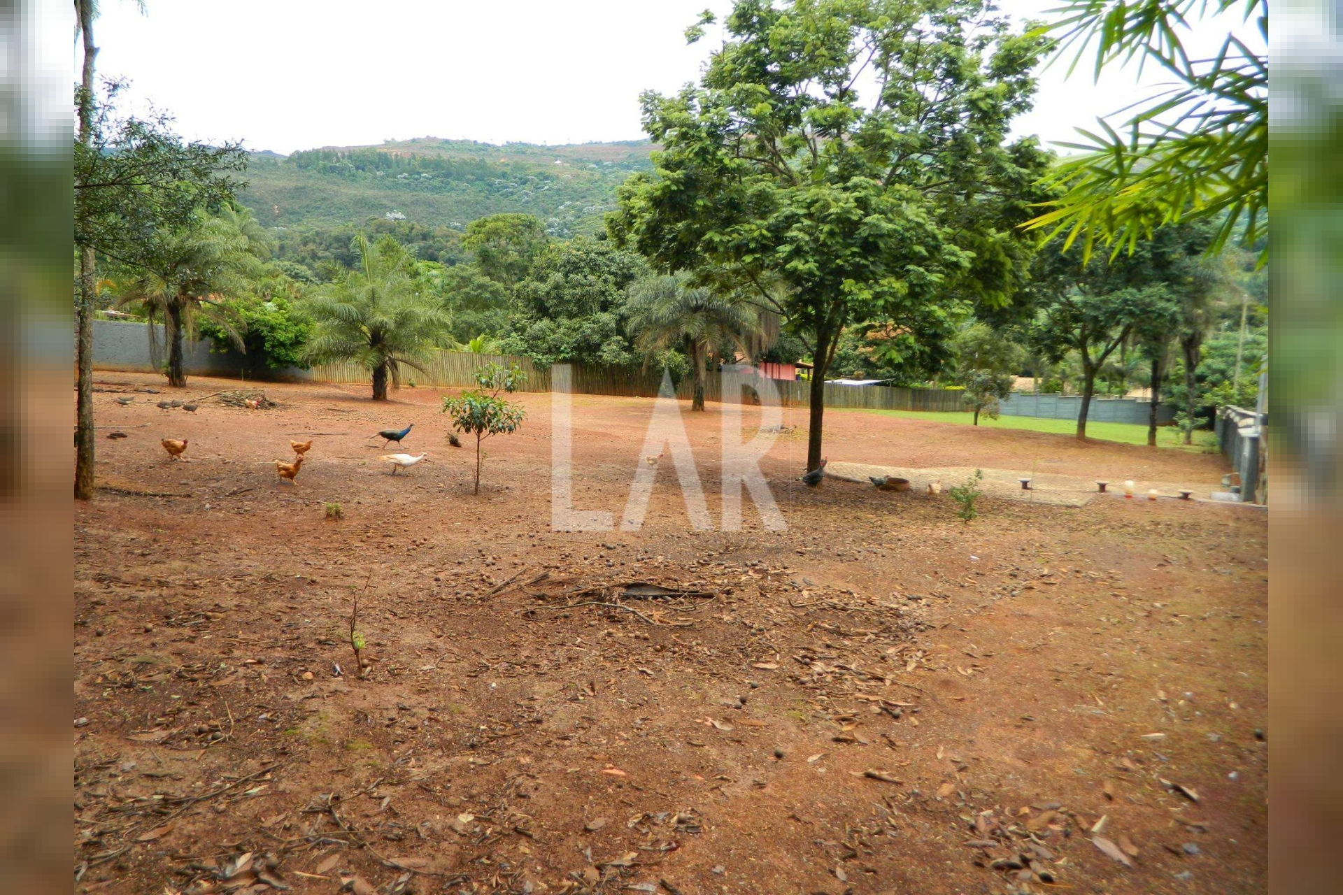 Lote - Terreno para alugar, São Sebastião das Águas Claras, Nova Lima - MG