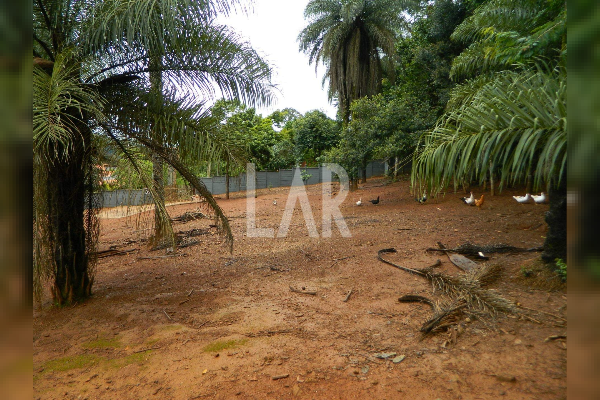 Lote - Terreno para alugar, São Sebastião das Águas Claras, Nova Lima - MG