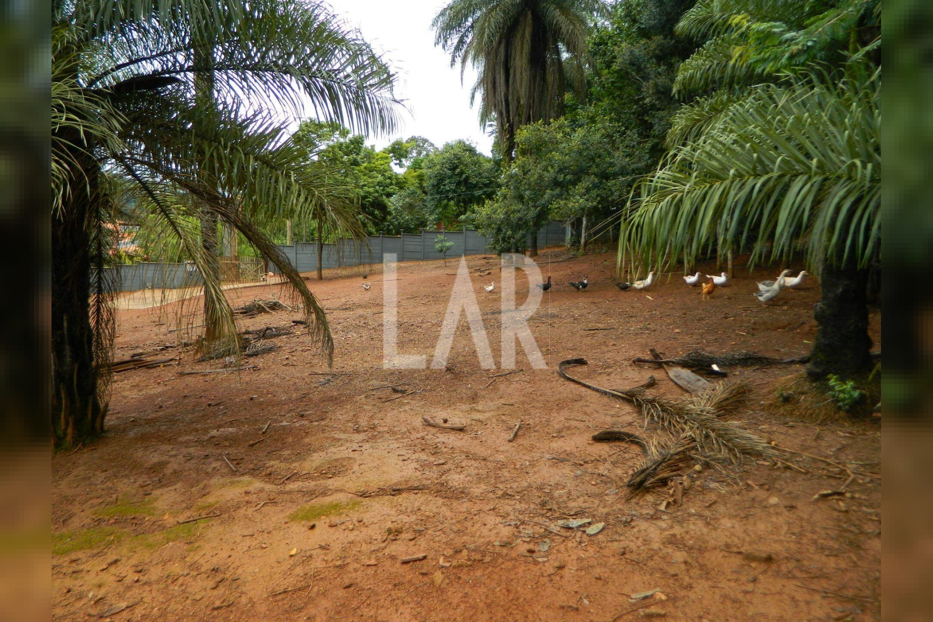 Lote - Terreno para alugar, São Sebastião das Águas Claras, Nova Lima - MG
