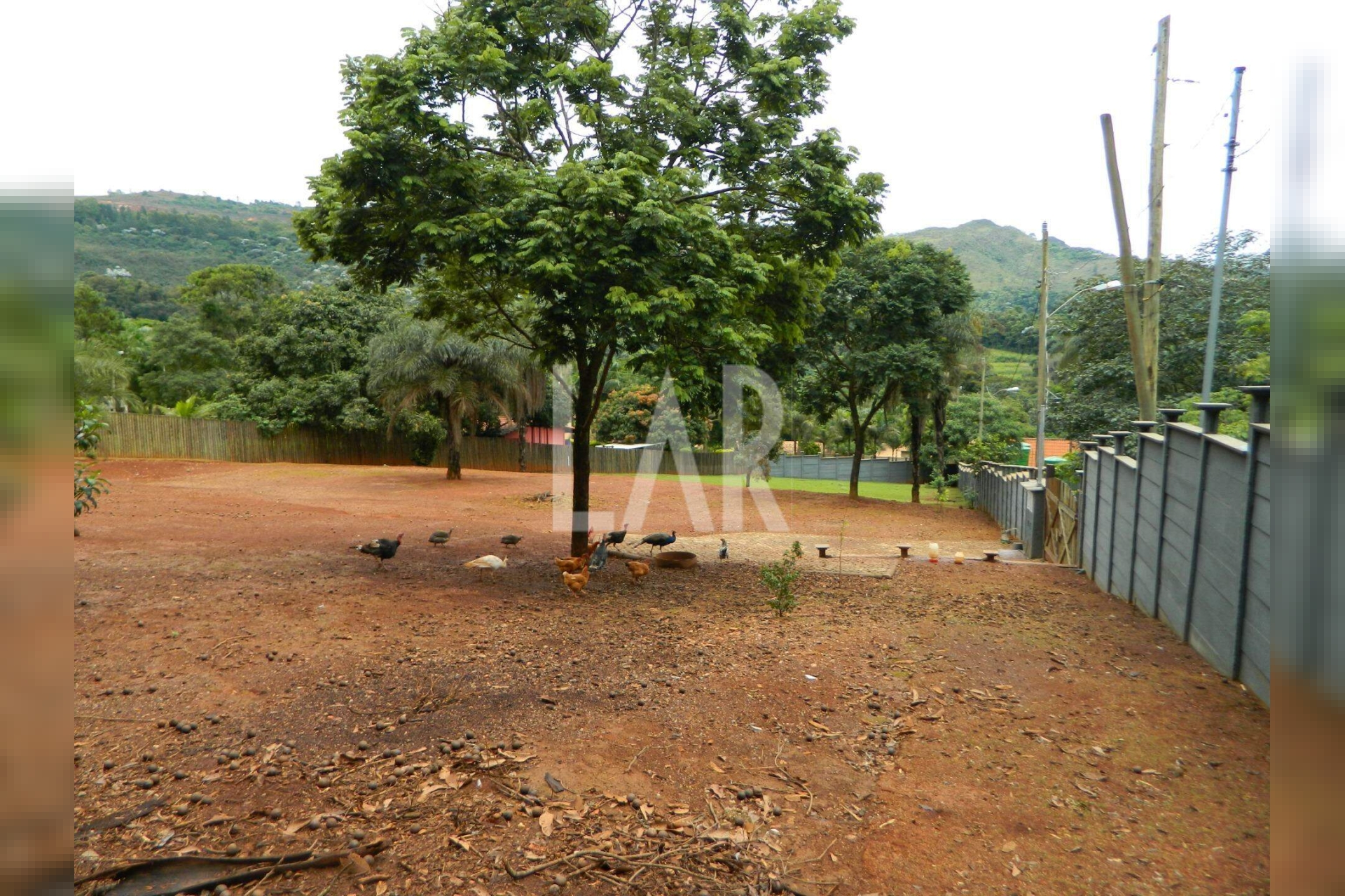 Lote - Terreno para alugar, São Sebastião das Águas Claras, Nova Lima - MG