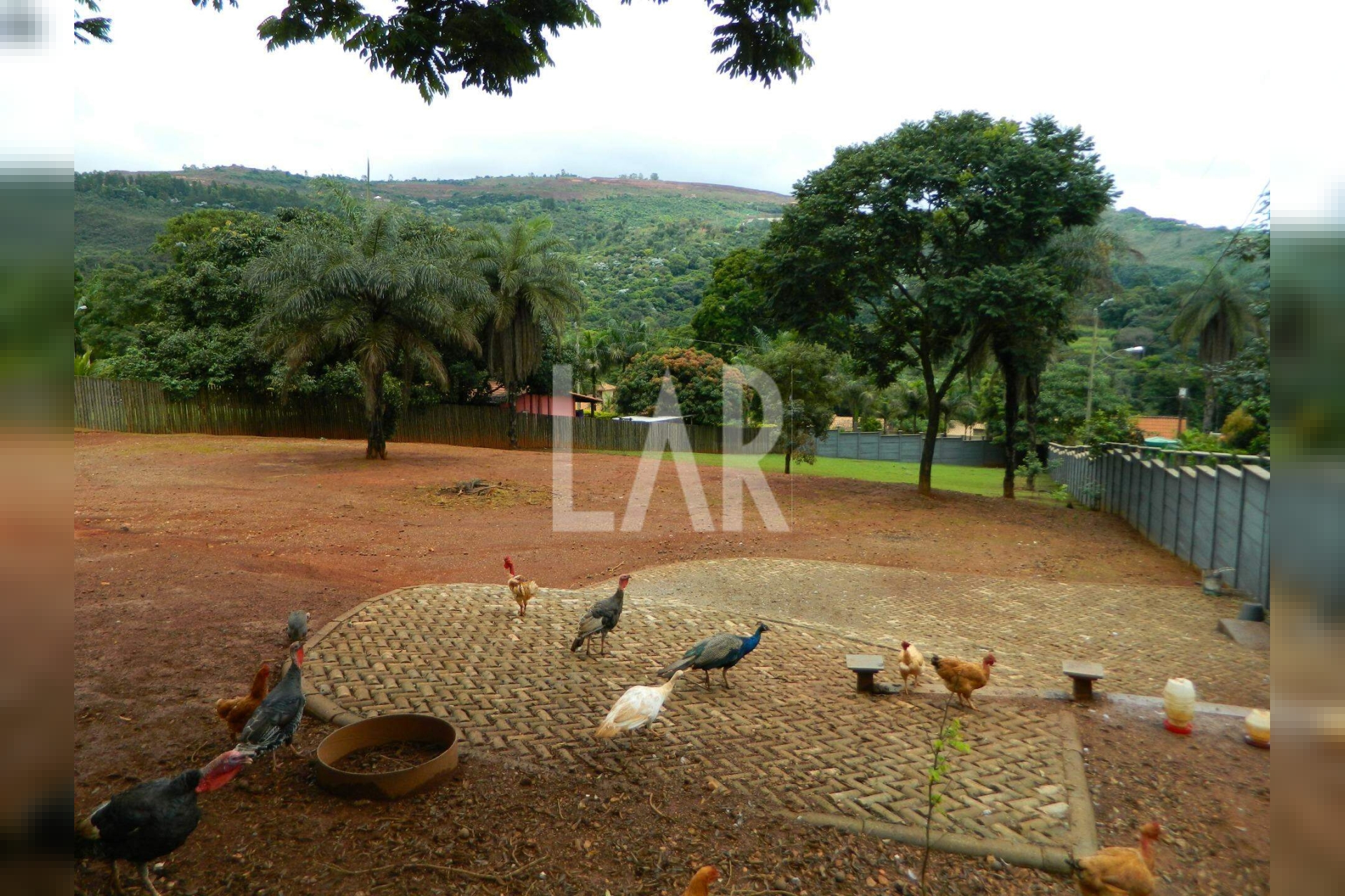 Lote - Terreno para alugar, São Sebastião das Águas Claras, Nova Lima - MG