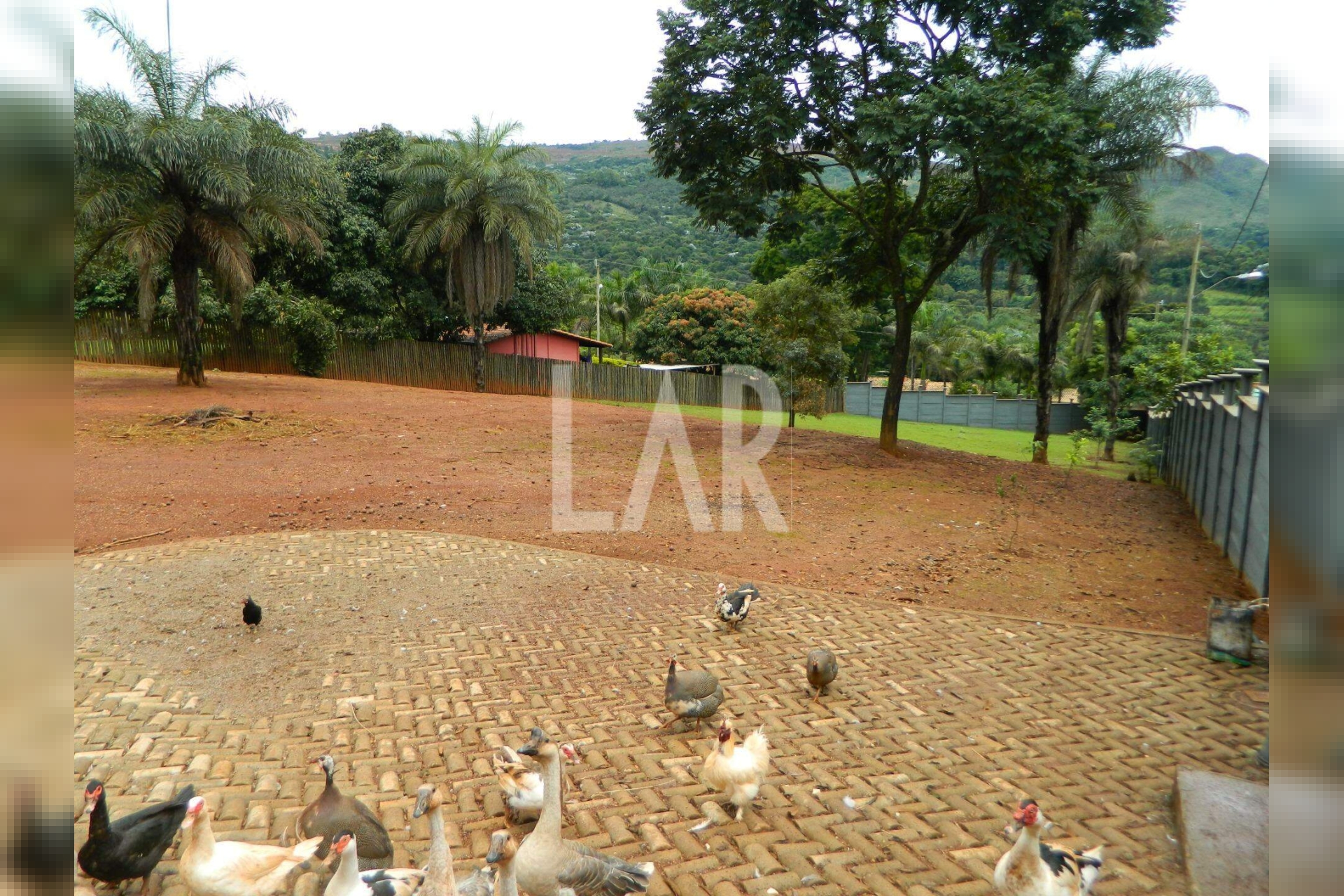 Lote - Terreno para alugar, São Sebastião das Águas Claras, Nova Lima - MG