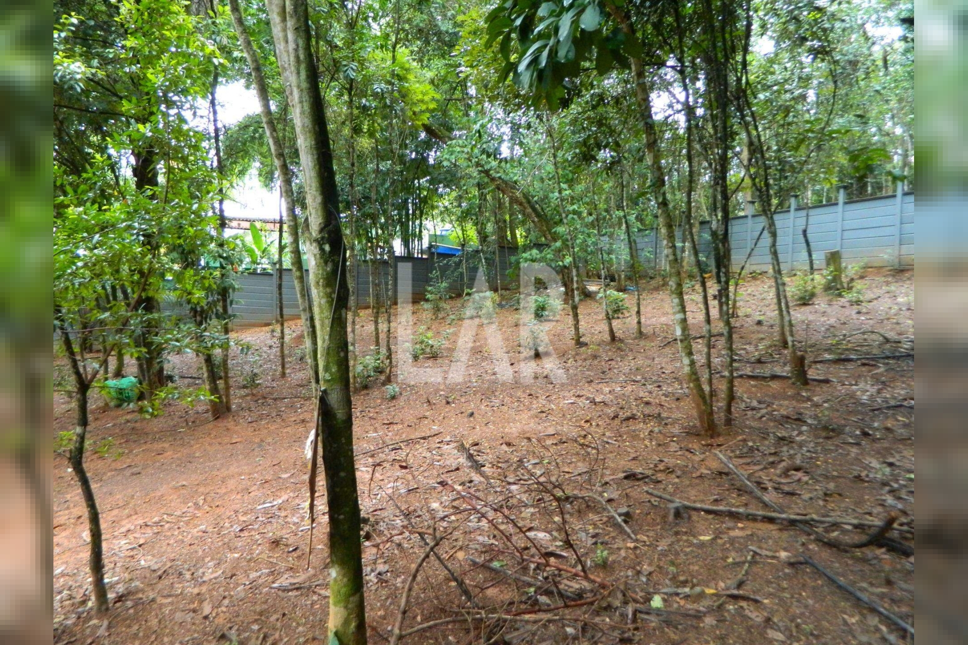 Lote - Terreno para alugar, São Sebastião das Águas Claras, Nova Lima - MG