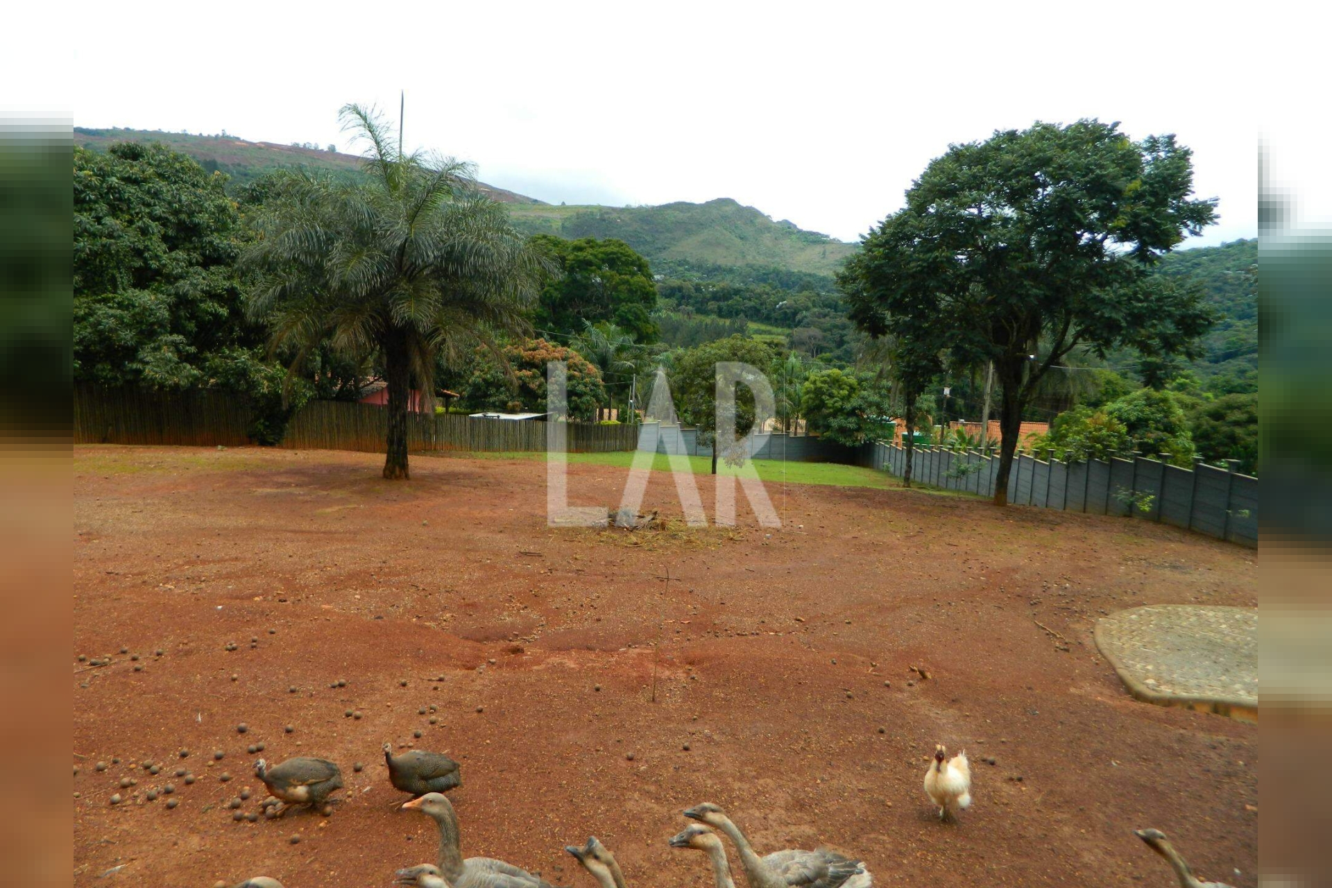 Lote - Terreno para alugar, São Sebastião das Águas Claras, Nova Lima - MG