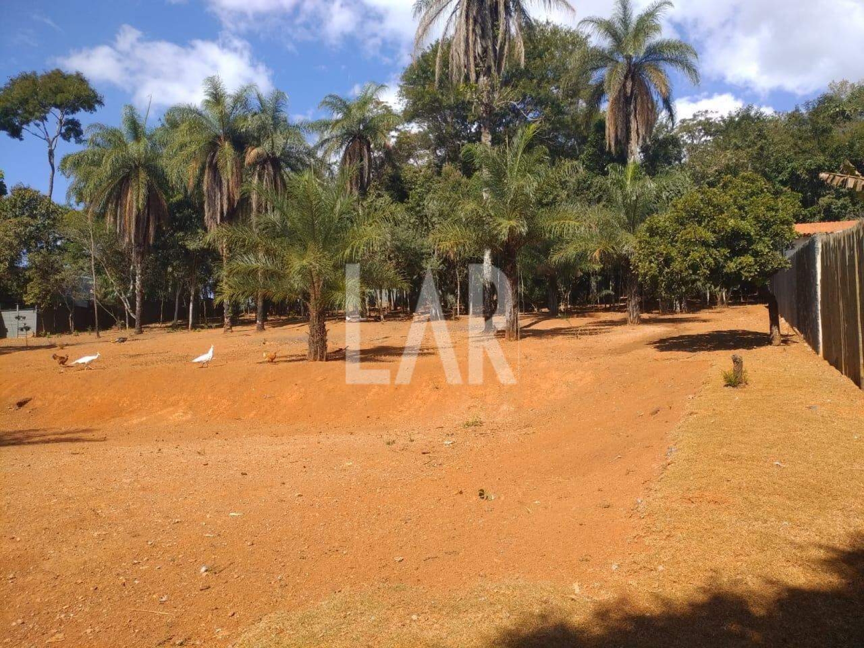 Lote - Terreno para alugar, São Sebastião das Águas Claras, Nova Lima - MG