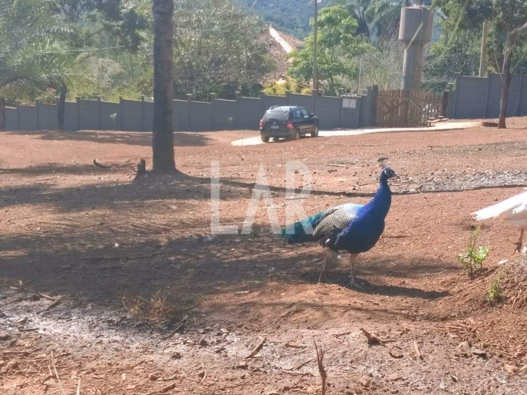 Lote - Terreno para alugar, São Sebastião das Águas Claras, Nova Lima - MG