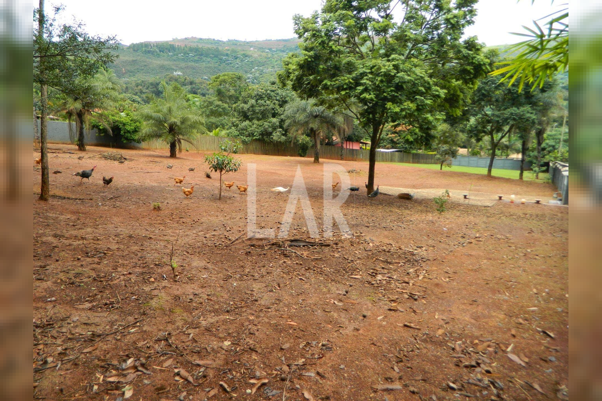 Lote - Terreno para alugar, São Sebastião das Águas Claras, Nova Lima - MG
