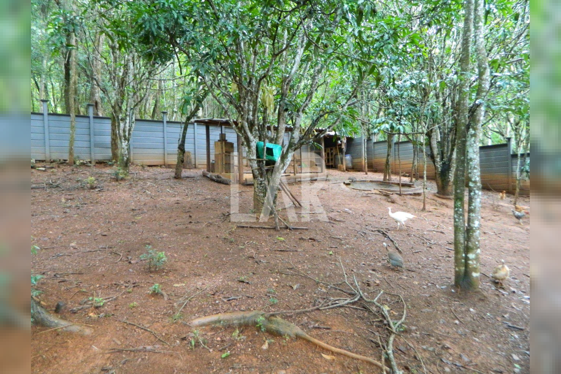Lote - Terreno para alugar, São Sebastião das Águas Claras, Nova Lima - MG