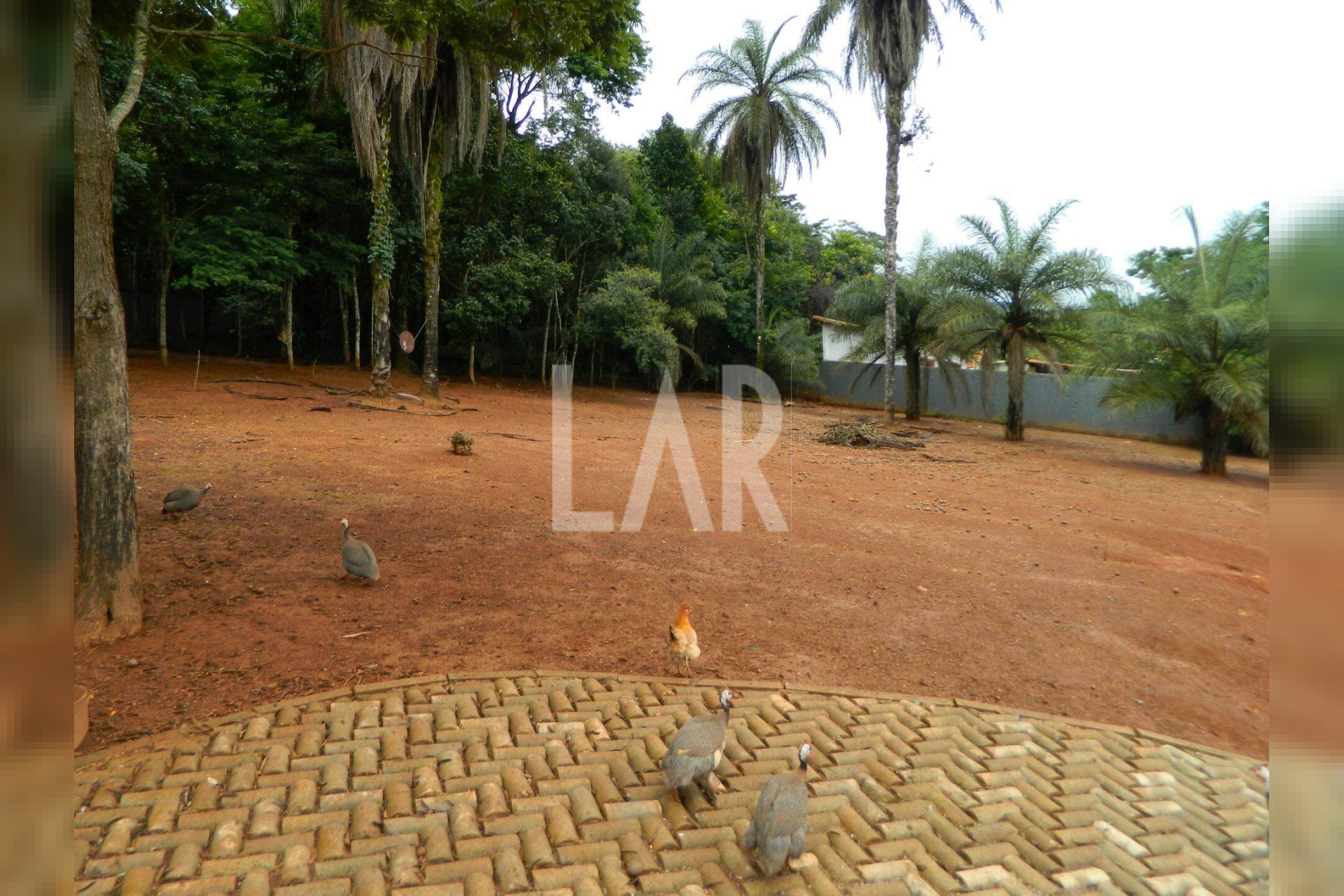 Lote - Terreno para alugar, São Sebastião das Águas Claras, Nova Lima - MG