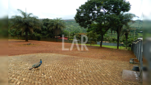 Lote - Terreno para alugar, São Sebastião das Águas Claras, Nova Lima - MG