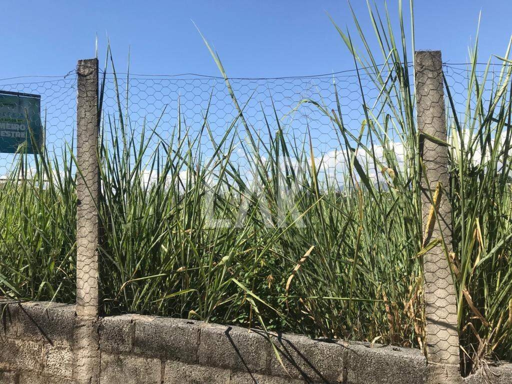 Lote - Terreno à venda, Jardim Atlântico, Belo Horizonte - MG