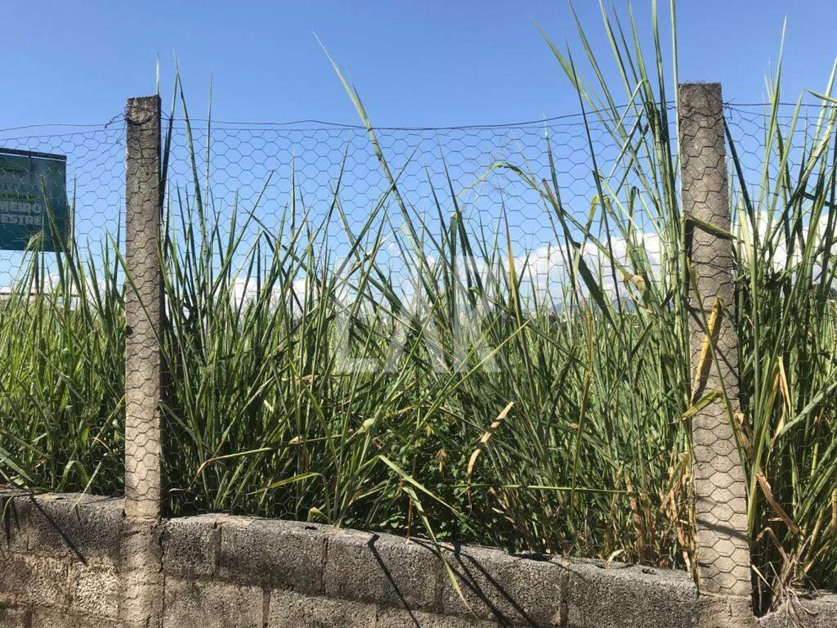 Lote - Terreno à venda, Jardim Atlântico, Belo Horizonte - MG