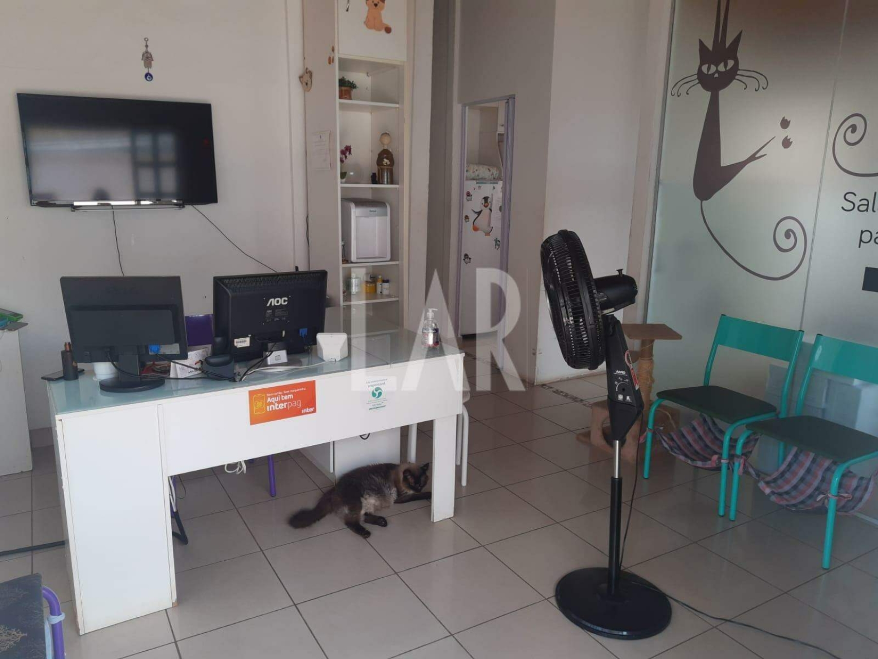 Casa de 3 quartos à venda, Havaí, Belo Horizonte - MG