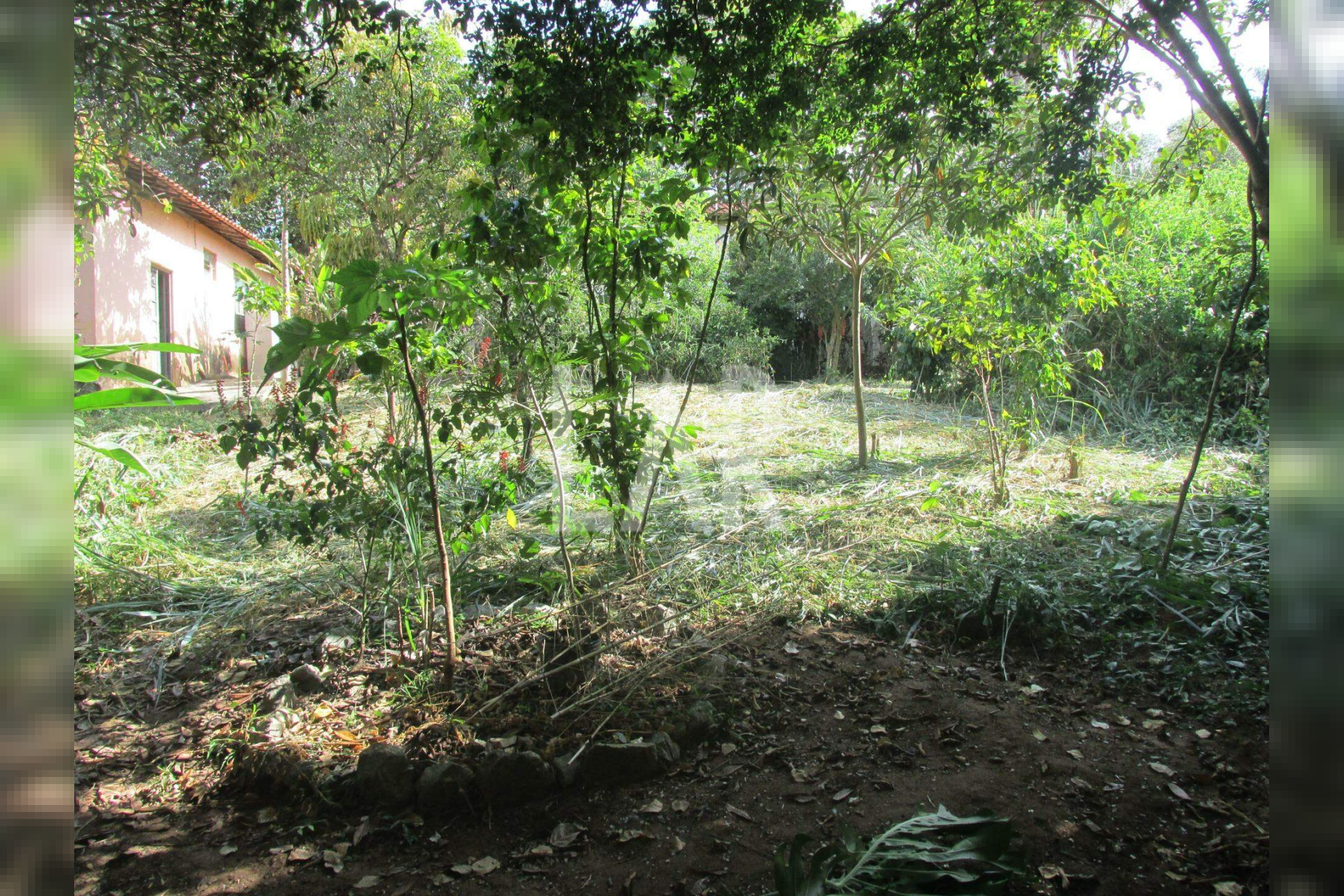 Casa de 4 quartos à venda, Braúnas, Belo Horizonte - MG