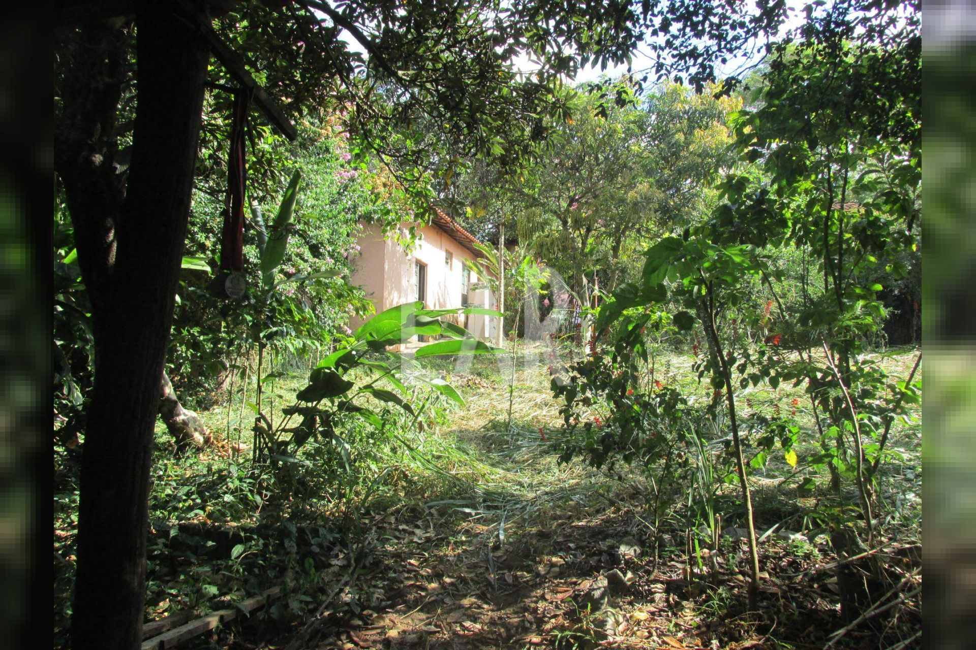 Casa de 4 quartos à venda, Braúnas, Belo Horizonte - MG