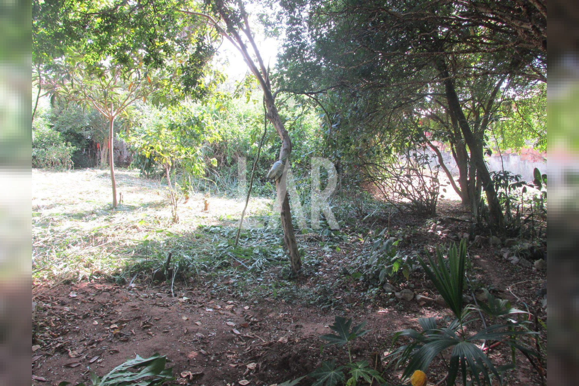 Casa de 4 quartos à venda, Braúnas, Belo Horizonte - MG