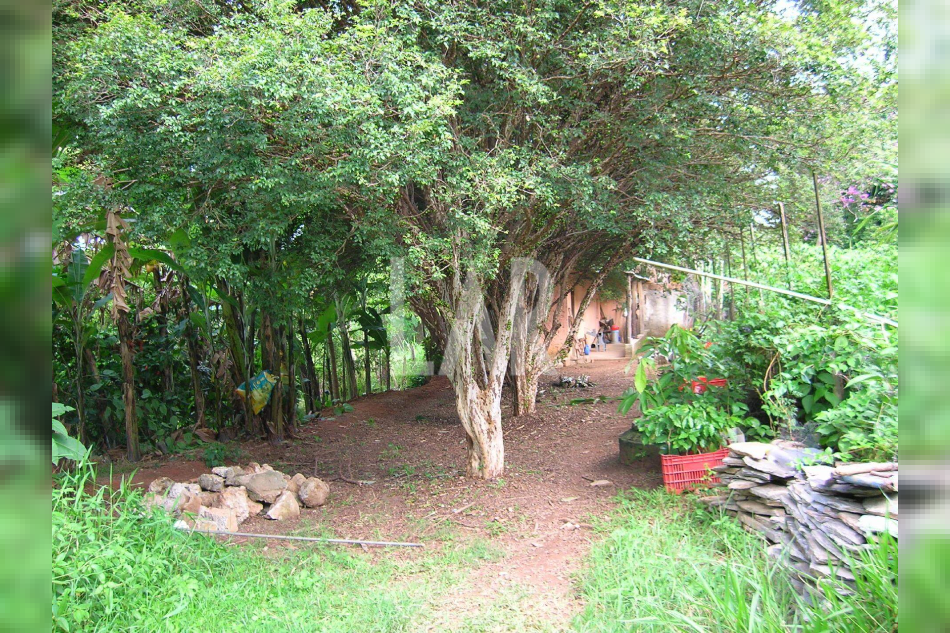 Casa de 4 quartos à venda, Braúnas, Belo Horizonte - MG